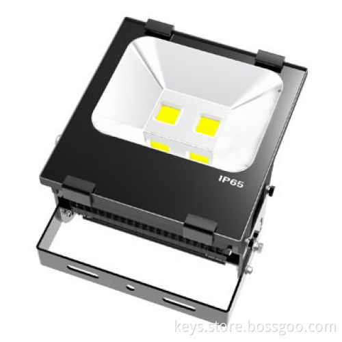 Newest Outdoor LED Flood Light, IP65, 2835 SMD or COB100W, High Power, Radiator Fins